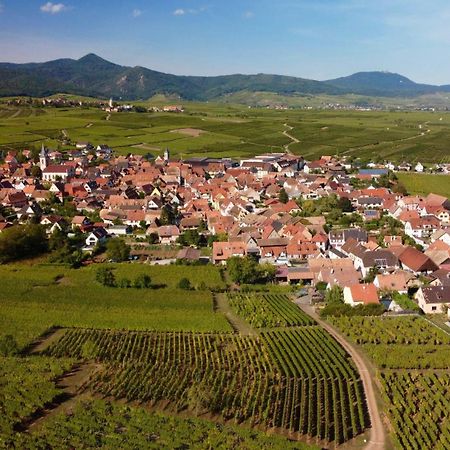 Gite Du Vignoble Beblenheim Zewnętrze zdjęcie