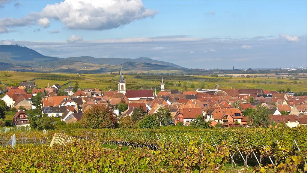 Gite Du Vignoble Beblenheim Pokój zdjęcie