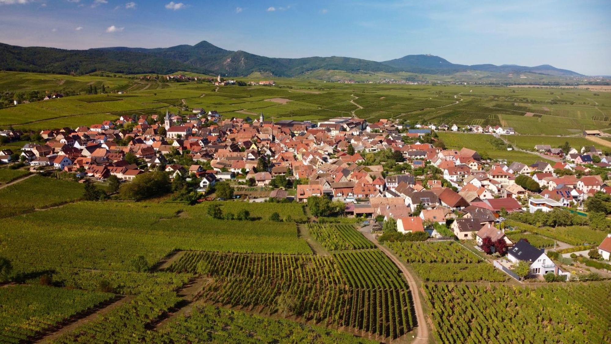 Gite Du Vignoble Beblenheim Zewnętrze zdjęcie